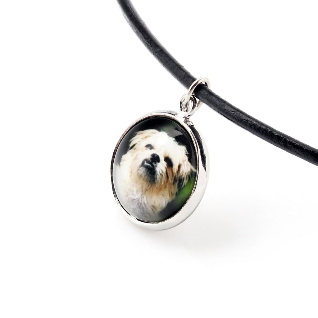 Griffon Bruxellois, Brussels Griffon - necklace pendant with your photo, handmade, handcrafted jewelry by Art-Dog brand