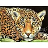 Алмазная мазайка, живопись леопард