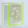 Premium Multi-Color Acrylic Photo and Art Display Frame - A4 Size