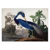 Audubon Vintage Bird Poster Canvas Print Wall Art Picture American Heron Swan Roseate Spoonbill Scarlet Lbis Blue Crane Decor