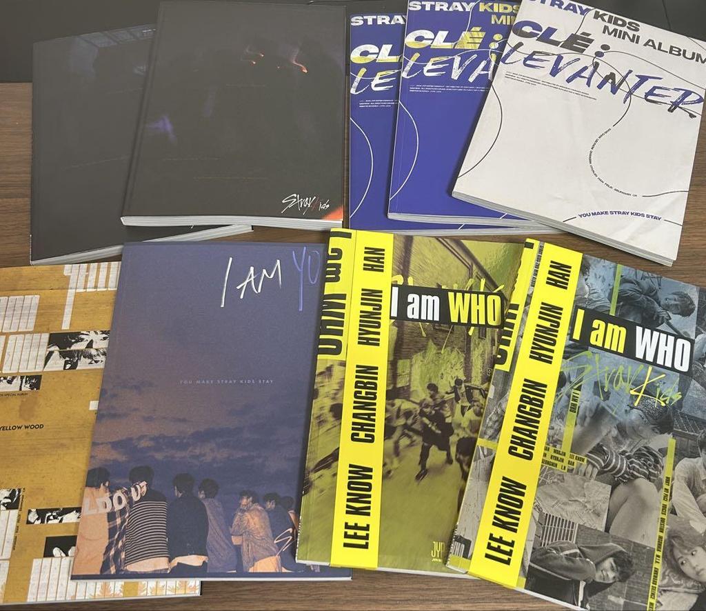 [USED] StrayKids Hyunjin