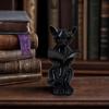 Декорация для стола Кот 3D-печатная статуэтка Читающий кот, Фигурка с книгой и очками, Художественное украшение, Современная декоративная скульптура животного для дома