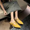 Retro Pointed Head Light Mouth T-buckle with Mary Jane Shoes Spring New Low-heeled Slippers Women