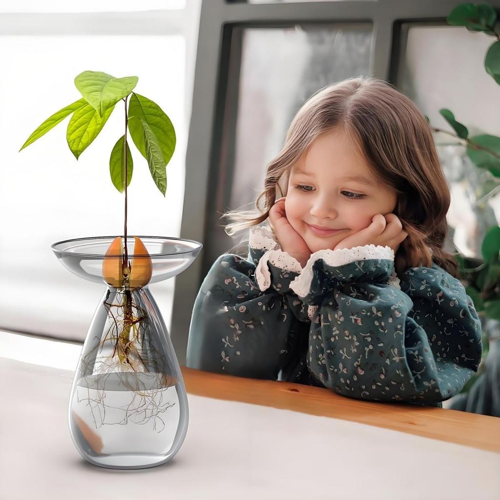 Ваза для выращивания семян авокадо – прозрачный стеклянный набор для выращивания растений и любителей садоводства