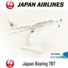 Металлическая модель Boeing 787, 20 см: Памятная коллекция Персидского залива