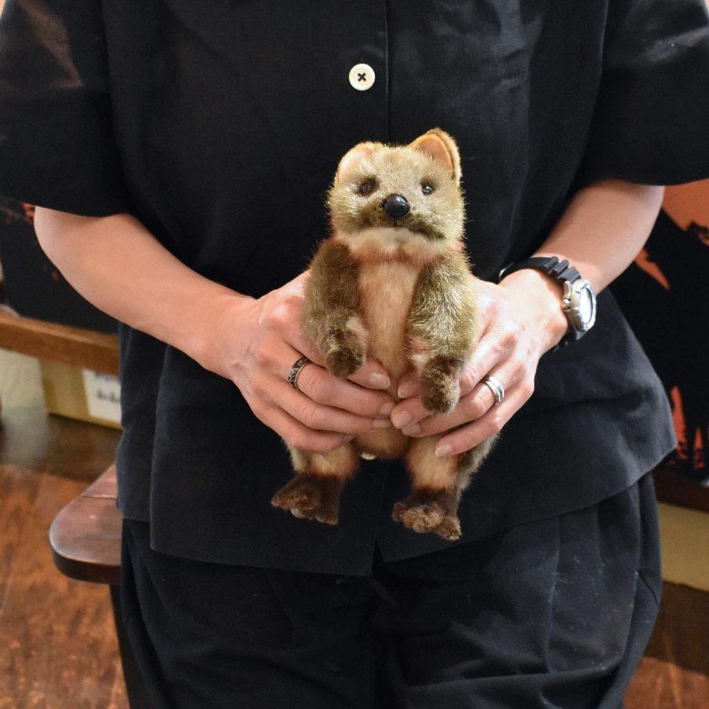 BH7362 HANSA Квака Валлаби 22