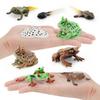 Realistic Pvc Red Eyed Frog Lifecycle Model Stunning Static Display For Nature Lovers