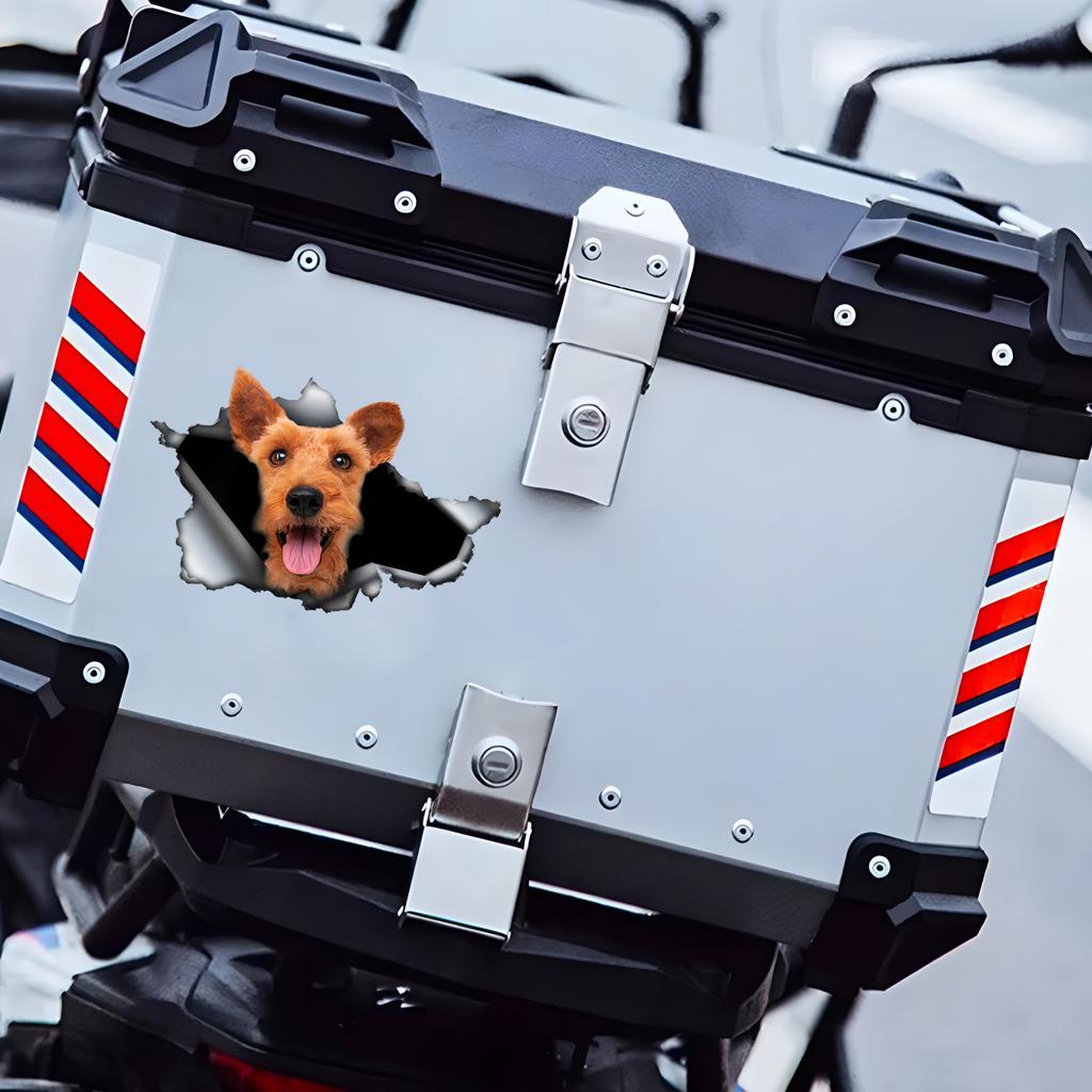 Welsh Terrier Car Stickers Funny Waterproof Vinyl Decal Motorcycle Decorative Accessories, Used for Car, Motorcycle, Laptop, Van