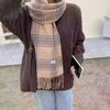 Women's Winter Plaid Imitation Cashmere Tassel Scarf, Thickened Korean Style Neck Warmer
