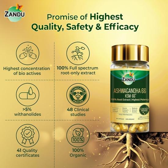 Zandu Ashwagandha 66 (KSM-66®) (600 mg) | Clinically Proven 100% Root Extract for Maximum Potency