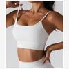 European and American Sexy Minimalism Intimates Gather Shockproof Yoga Clothes with Chest Pad Fitness Vest Short Dancing Bra
