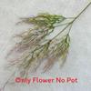 Artificial Phalaris Arundinacea Floral Decor For Living Room And Photo Prop