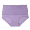 Plus Size High Waist Women's Briefs with Lace Edge In Solid Colors