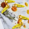 Pack of 5 Cute Bee Hair Clips for Kids Mixed ABS Plastic Hairpins Lightweight Girls Hair Accessories Multi Color Set