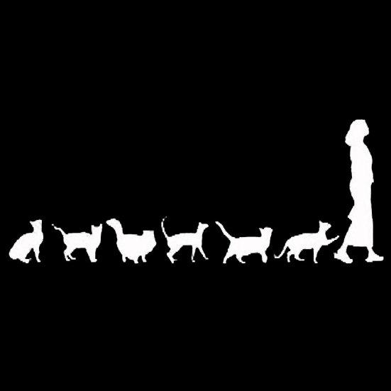 Милые кошки следуют за леди, автомобильный Стайлинг, светоотражающая наклейка на окно кузова автомобиля