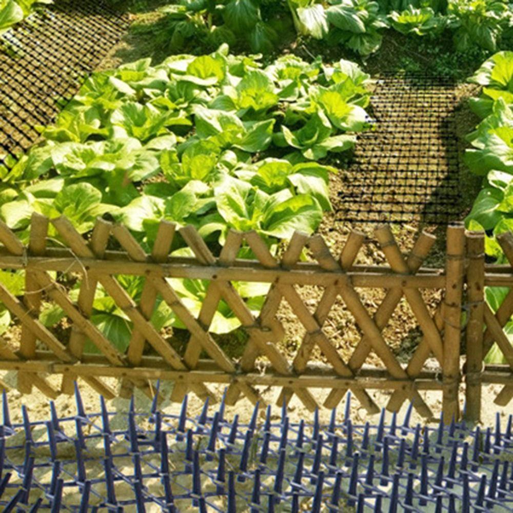 2m/4m Anti-Cats Digging Stopper Network Cat Deterrent Mat Durable Cat Scat Mat with Spikes  Indoor