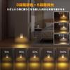 ASSEUI Motion Sensor Indoor Color Temperature for Baby and LED Night Automatic Set of 2 Light, Outlet-Type, Footlight, 5-Level Dimming, 3-Level