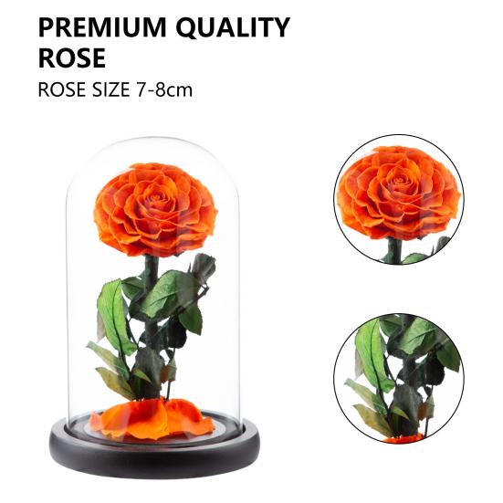 Нежная вечная роза в стеклянном куполе, романтическая невыцветающая одежда для взрослых, создающая атмосферу
