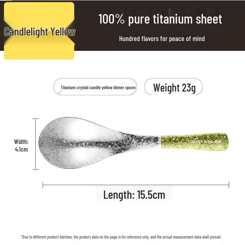COOKER KING 100% Pure Titanium Spoon
