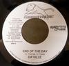 7inch Record DAVILLE / DJ CHRIS - End Of The Day / Your Loving Is NONE Newbrandmusic 2007 Jamaica Reggae, Ska & Dub Used