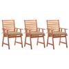 Day and Night - Day and Night Garden Dining Chairs 3 Units Solid Acacia Wood and Cushions