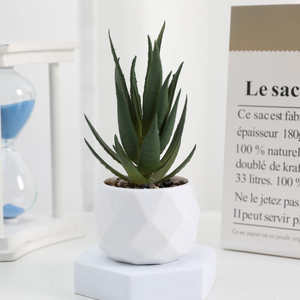 Evergreen Artificial Succulent Cactus Small Potted Plants Mini Bonsai Plants  Home