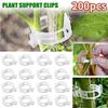 100/200PCS Plant Fixing Clips Reusable Plant Vegetables Vine Connects Fixing Tool Vegetable Tomato Grafting Protect Garden Supplies