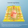 24/36 Grid Eggs Incubator Eggs Automatic Incubator Motor Turn Tray Poultry Incubation Equipment Farm Poultry Hatching Device