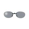 SWANS Polarized Sunglasses Clip-on Fixed Type SCP-13 SMK2 Polarized Smoke 2