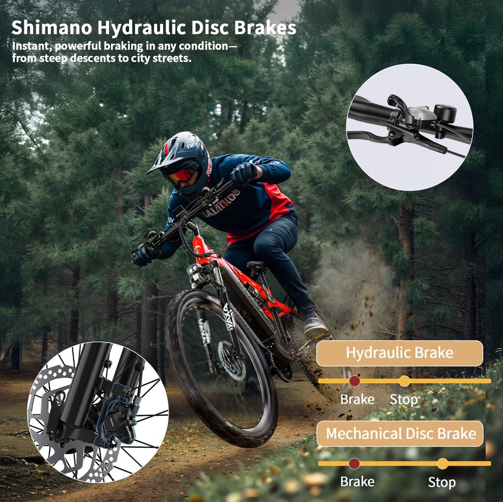 DUOTTS E29 Electric Bike 250W(Peak Value of 750W) Motor 48V 13.5Ah Battery Off-road Electric Bicycle 27.5 Inch Fat Tire E Bike