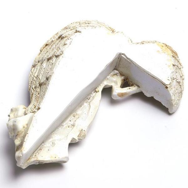 16 см крылья ангела дверная рама настенная скульптура орнамент домашний декор сказочная дверь потертый шик