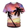 Coconut Plant 3D Printing T-shirt Vacation Sunset Short Sleeves Outdoor Street Men's T Shirt Summer Round Neck Tee Shirts Tops