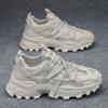 Platform Dad Shoes Men's Spring New Versatile Spring and Autumn Sports Men's Shoes Lightweight Shoes Ins