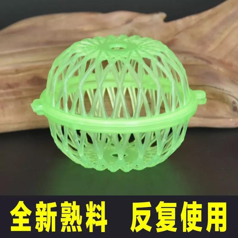 Insect Cage Grasshoppers Crickets Portable Plastic Breeding
