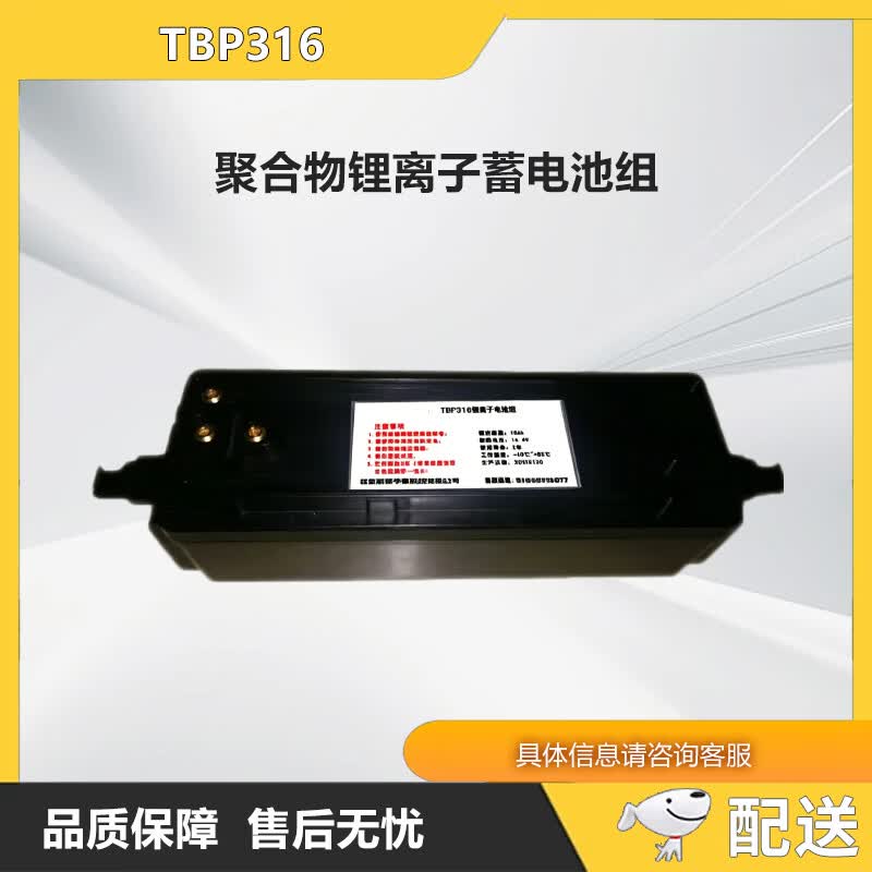 Полимерный литий-ионный аккумуляторный блок Zhonglu Baishitong TBP316 (Китайская версия)