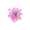 100шт прессованный сушеный цветок Ammi Majus из эпоксидной смолы для ногтей DIY Декор для телефона
