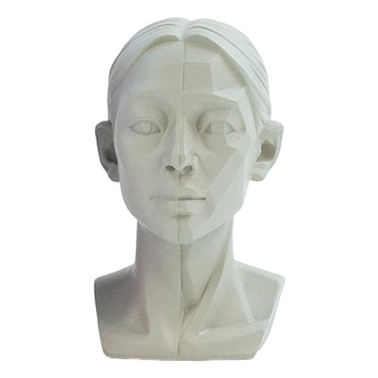 Generic Planar Head Model for Drawing Resin Skull Sculpture with Detailed Muscle Structure Art Study Tool for Sketching Anatomy Learning