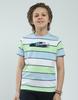 Boy's Striped Pattern Regular Fit Half Sleeve T-Shirt