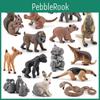 ПВХ Фигурка Животного Белка Коллекция Для Детских Развивающих Игрушек И Активностей по Изучению Природы