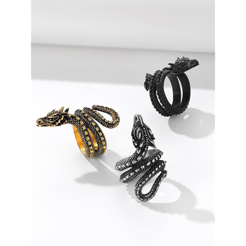 [Richsteel] Dragon Dragon Ring Men's Stainless Ring Black Money Luck Amulet Cool Adult Black Male Accessories No. 18