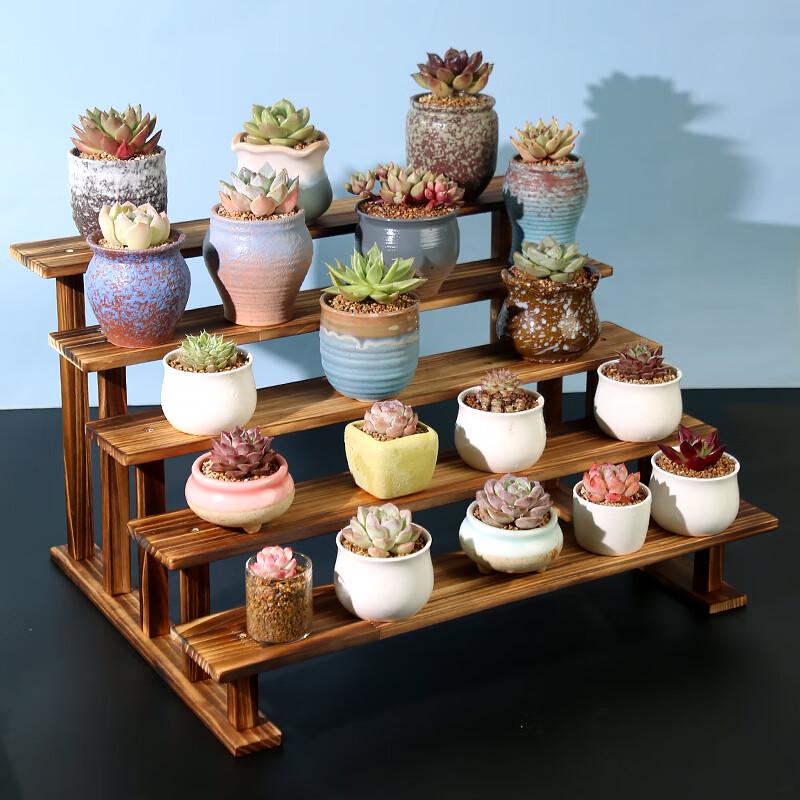 Solid Wood Multi-Tier Plant Display Shelf