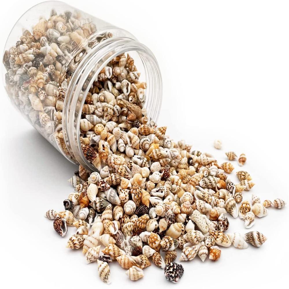 1500 шт. спиральных ракушек, морские ракушки, 1500 шт. подвесок-шармов из смешанных ракушек, пляжная тематическая вечеринка
