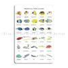 Tropical Fish Guide Metal Plaque Poster Living Room Designs Wall Pub Wall Cave Decoration Tin Sign Poster