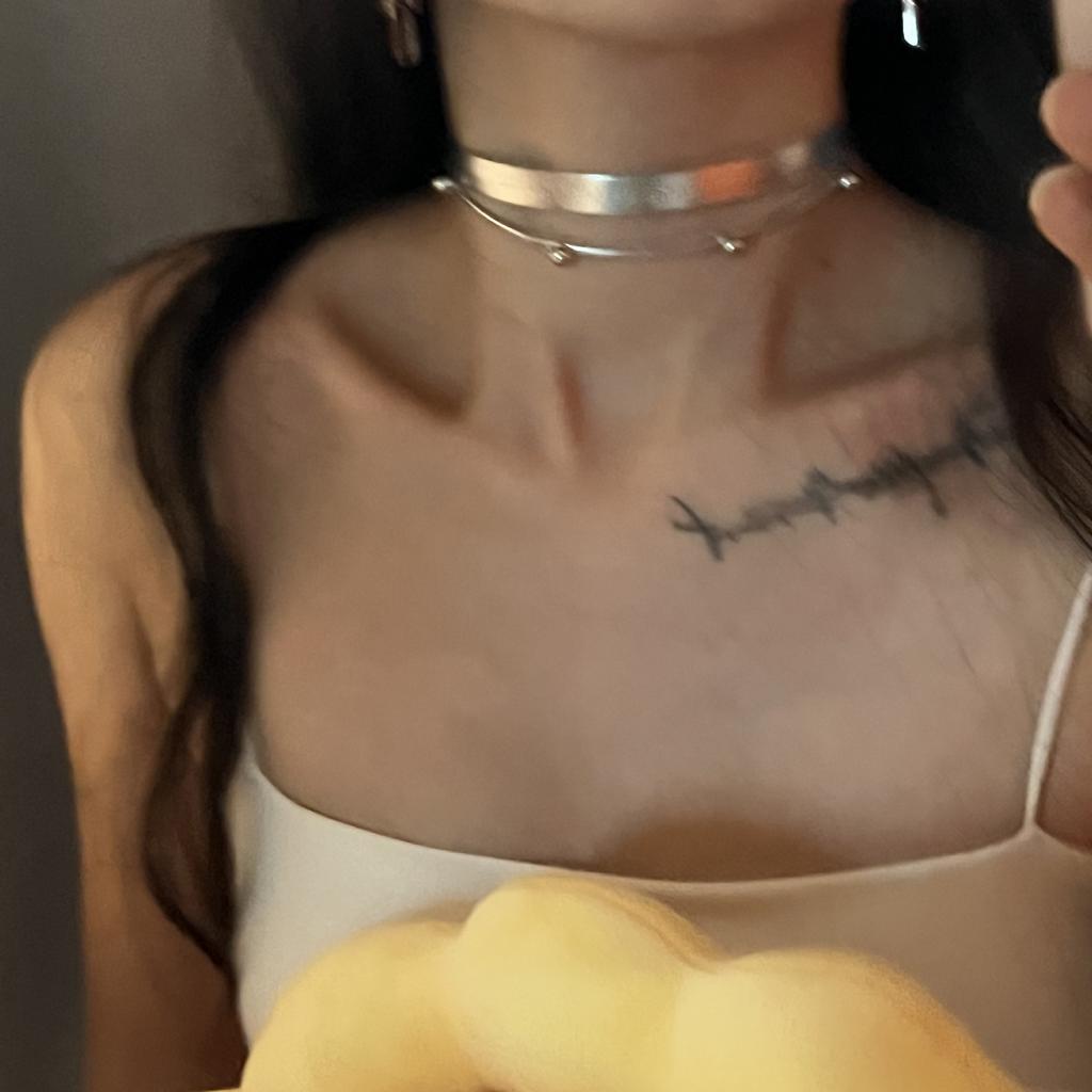 Silver Cyberpunk Style Choker Babes Double Collar Hip Hop Necklace Niche Design Sense Leather Neck Strap Female