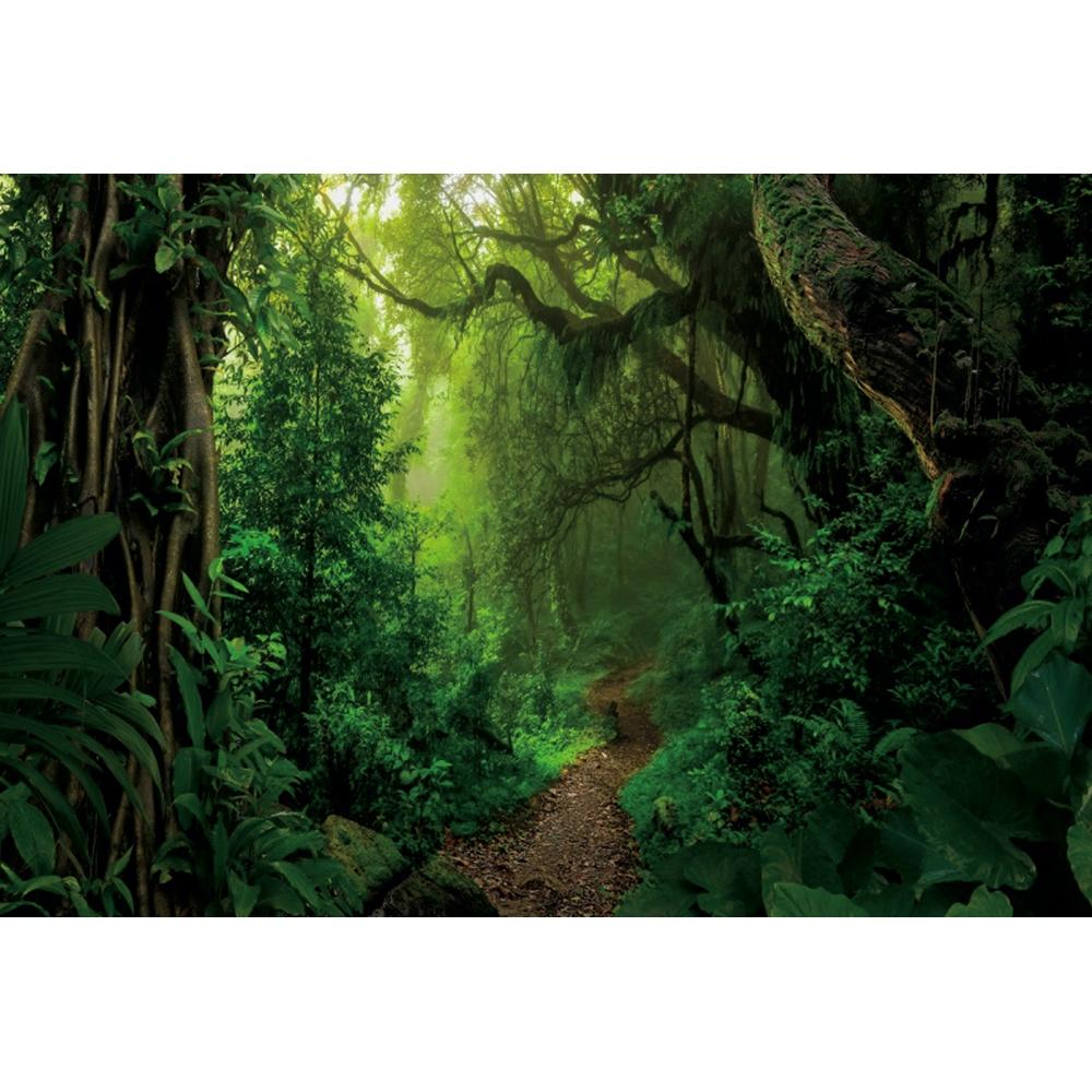 Spring Forest Backdrop Tropical Jungle Rainforest Backdrops for Photography Camping Adventure Birthday Background Photo Studio