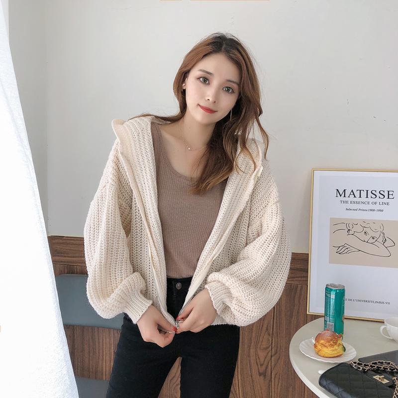 Осенне-зимний кардиган с капюшоном, короткий, утолщенный, верхняя одежда, простая и удобная женская куртка на молнии с длинным рукавом 6206