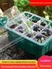 Three-Piece Succulent Seedling Tray Set: 12-Hole Plastic Box with Lid for Moisture and Temperature Control