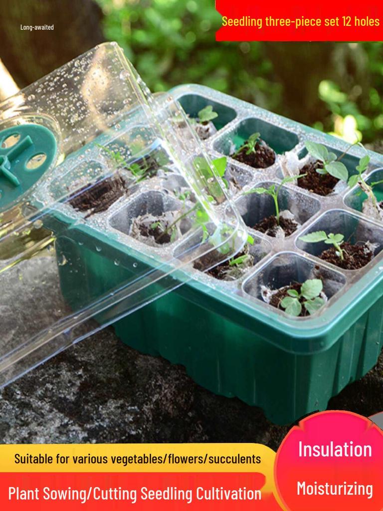 Three-Piece Succulent Seedling Tray Set: 12-Hole Plastic Box with Lid for Moisture and Temperature Control