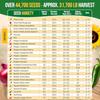 75 сортов семян овощной зелени Набор для рассады в саду - Более 44 700 не ГМО heirloom семян для посадки овощей и