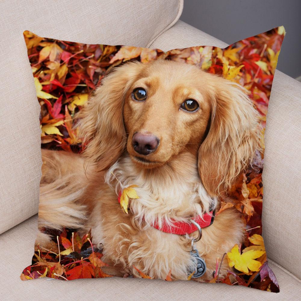 Mini Dachshund Cushion Cover Decor Pet Animal Pillowcase Sofa Home Children's Room Pillowcase